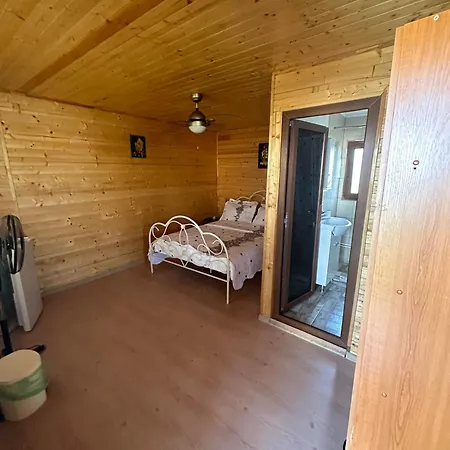 Pensiunea Delia Penzion 3*