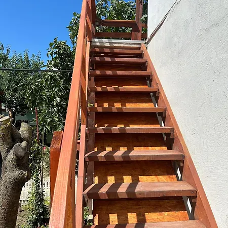 Pensiunea Delia Guest house Vadu